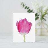 Pink Tulip Postcard Postkarte (Stehend Vorderseite)