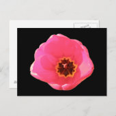 Pink Tulip Postcard Postkarte (Vorne/Hinten)