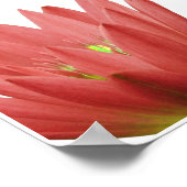 Pink Tulip Poster (Ecke)