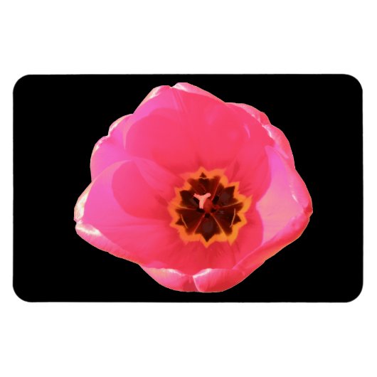 Pink Tulip Premium Magnet (Horizontal)