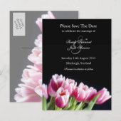 Pink Tulip Save the Date Postkarte (Vorne/Hinten)