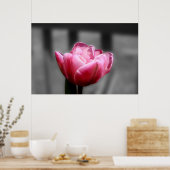 Pink Tulip Schwarz-Weiß-Poster oder Druck Poster (Küche)
