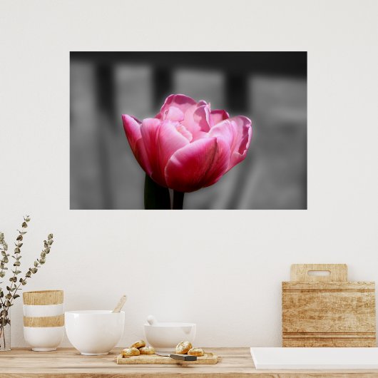 Pink Tulip Schwarz-Weiß-Poster oder Druck Poster (Küche)