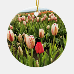 Pink Tulip Standing Out Keramik Ornament