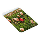 Pink Tulip Stehend Out Magnet (Rechte Seite)