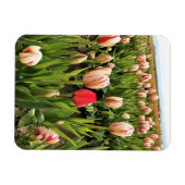 Pink Tulip Stehend Out Magnet (Horizontal)