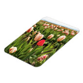 Pink Tulip Stehend Out Magnet (Linke Seite)