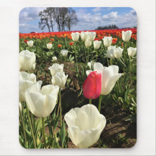 Pink Tulip Stehend Out, Oregon Mousepad