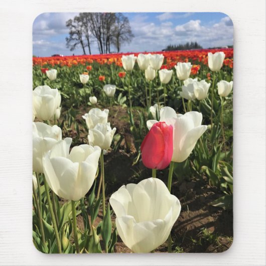 Pink Tulip Stehend Out, Oregon Mousepad (Vorne)