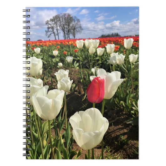 Pink Tulip Stehend Out, Oregon Notizblock (Vorderseite)