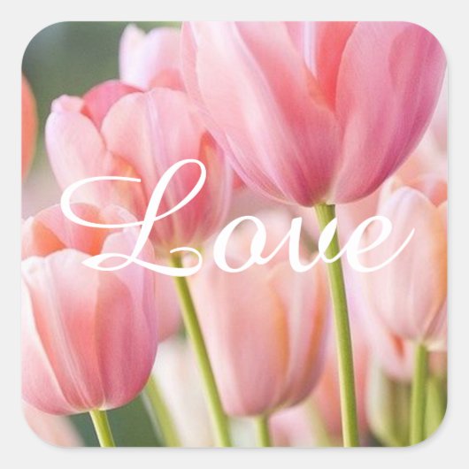 Pink Tulip Stickers und Umschlag Aufkleber (Vorderseite)