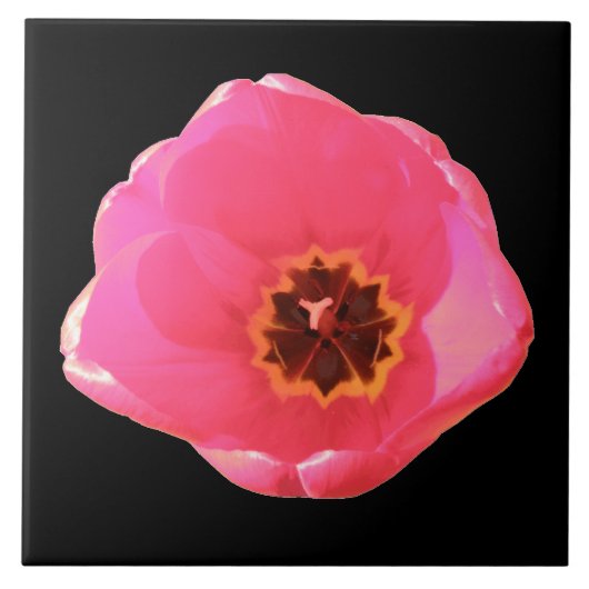 Pink Tulip Tile Fliese (Vorderseite)