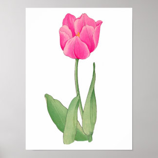 Pink tulip , vintage Japanese art 12 x 1`6 Poster