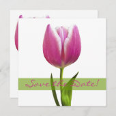 Pink Tulip Wedding Save the Date Announcement (Vorne/Hinten)