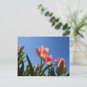 Pink Tulips & Blue Sky DIY Postkarte (Stehend Vorderseite)