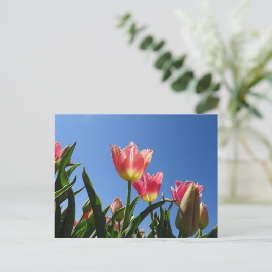 Pink Tulips & Blue Sky DIY Postkarte (Stehend Vorderseite)