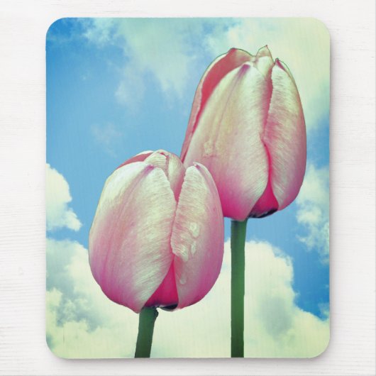 Pink Tulips Blue Sky Wolken Natur Mousepad (Vorne)