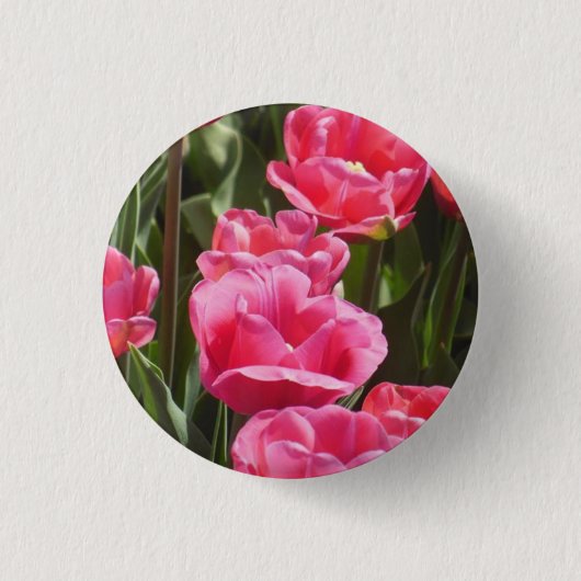Pink Tulips Button (Vorderseite)