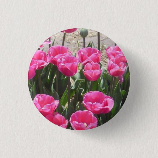 Pink Tulips Button (Vorderseite)