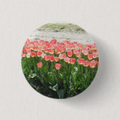 Pink Tulips Button (Vorderseite)