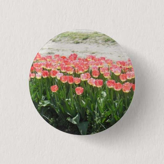 Pink Tulips Button (Vorderseite)