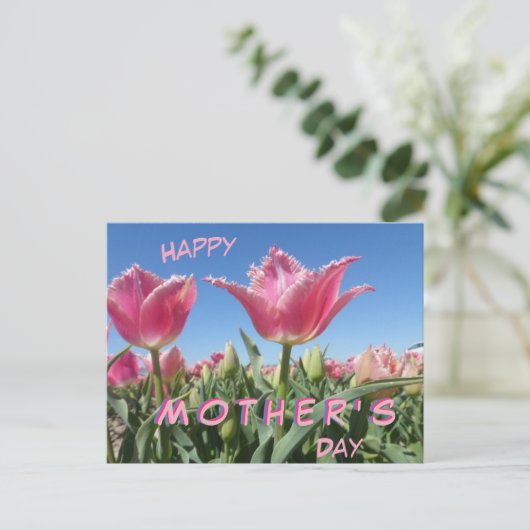 Pink Tulips Field Nah Up Mother Day Postcard Postkarte (Stehend Vorderseite)