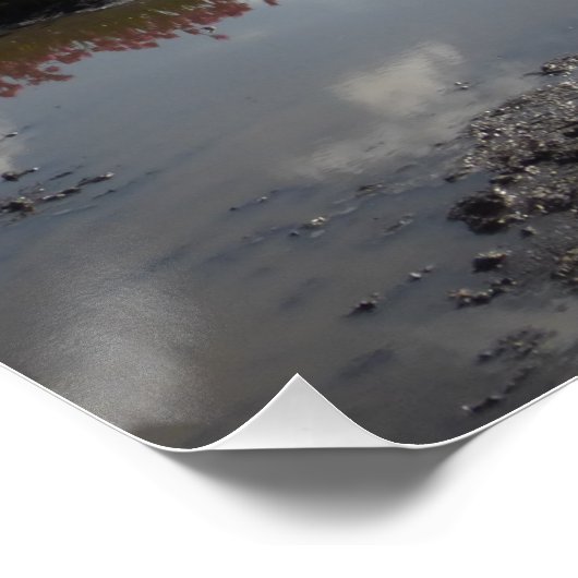 Pink Tulips Field Reflektiertes Landschaftsposter Poster (Ecke)