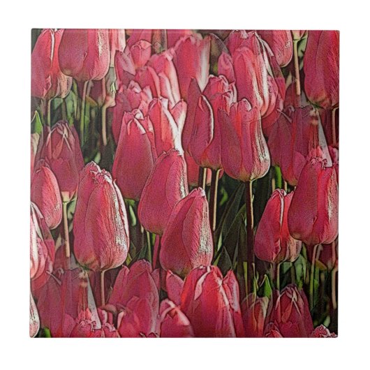 Pink Tulips Floral Fliese (Vorderseite)