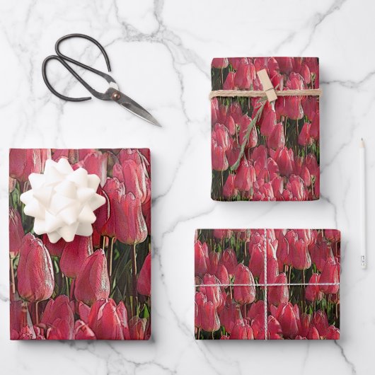 Pink Tulips Floral Geschenkpapier Set (Vorderseite)