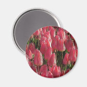 Pink Tulips Floral Magnet (Vorderseite/Rückseite)