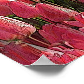 Pink Tulips Floral Poster (Ecke)