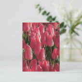 Pink Tulips Floral Postkarte (Stehend Vorderseite)