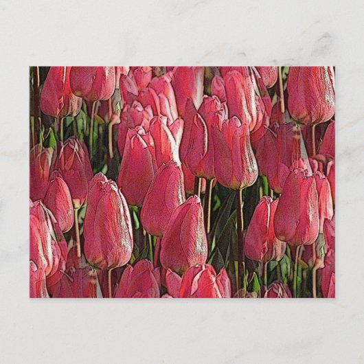 Pink Tulips Floral Postkarte (Vorderseite)