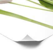 Pink Tulips Fotodruck (Ecke)