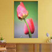 Pink Tulips Fotografie Canvas Print Leinwanddruck (Insitu (Wohnzimmer))