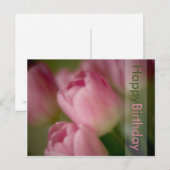 Pink Tulips Geburtstagskarte Postkarte (Vorne/Hinten)