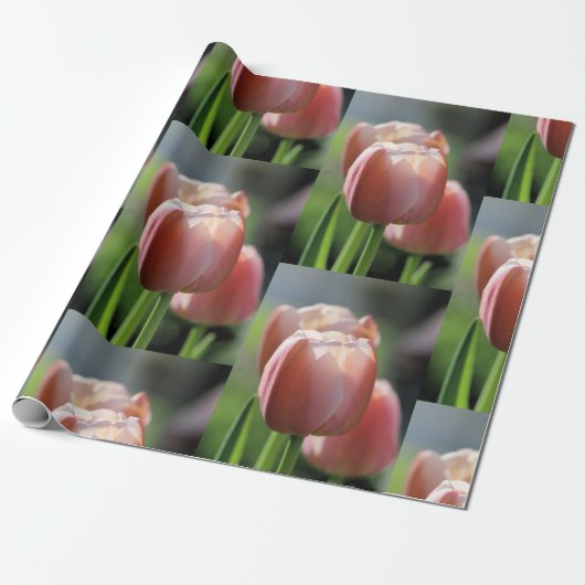 Pink Tulips Geschenkpapier (Ungerollt)
