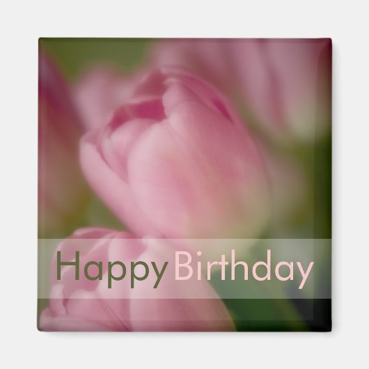 Pink Tulips - Happy Birthday Magnet (Vorne)