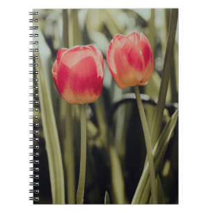 PINK TULIPS IN BLOOM NOTIZBLOCK