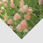 Pink Tulips in Spring Tissue Paper Seidenpapier (Ausschnitt)