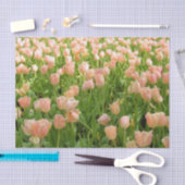 Pink Tulips in Spring Tissue Paper Seidenpapier (Handwerk)