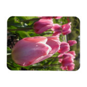 Pink Tulips Magnet (Horizontal)
