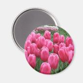 Pink Tulips Magnet (Vorderseite/Rückseite)