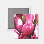 Pink Tulips Magnet (Vorderseite/Rückseite)