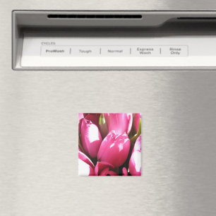 Pink Tulips Magnet