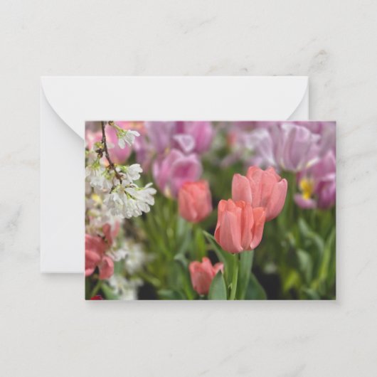 Pink Tulips Mitteilungskarte (Vorderseite)