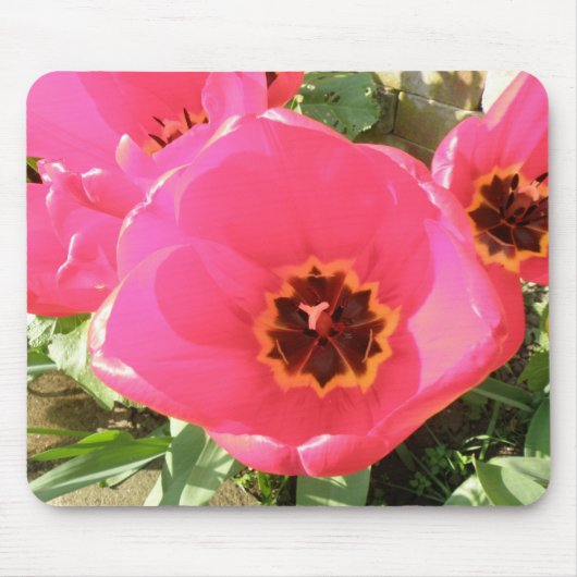 Pink Tulips Mousepad (Vorne)