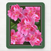 PINK TULIPS ~ Mousepad (Vorne)