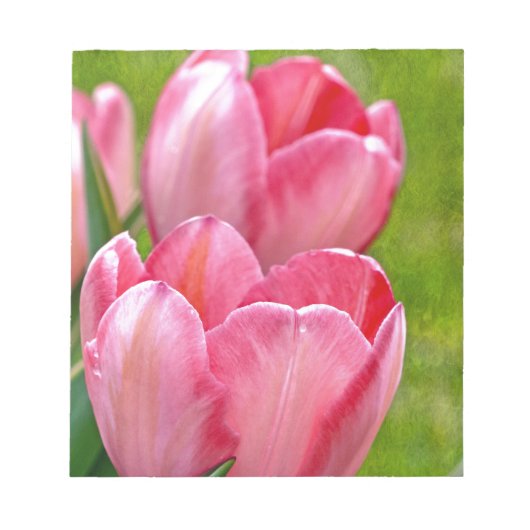 Pink Tulips Notizblock (Vorderseite)