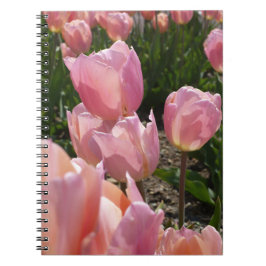 Pink Tulips Notizblock